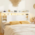 Headboards with Storage Shelves, Head Board with Power Outlet and LED Light for Bed Frame