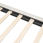 Beige Queen Size Upholstered Platform Bed with LED Lights and U-Shaped Headboard