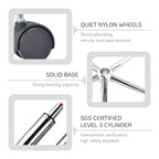 Porthos Home Tana Swivel Office Chair, Teddy Fabric, Gold Chrome Legs