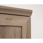 Sauder HomePlus Collection Storage Cabinet